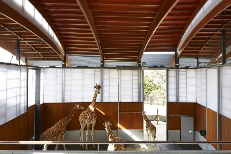 Taronga Zoo Daylight Shading